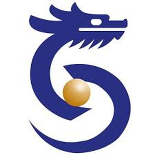 山东圣翰财贸职业学院